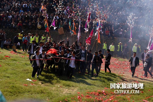 11月3日，贵州省从江县下江镇巨洞斗牛塘40头牛王争霸，图为牛王战胜的喜悦场面。