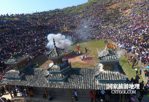 11月3日，贵州省从江县下江镇巨洞斗牛塘40头牛王争霸，图为战胜后的庆祝场面。