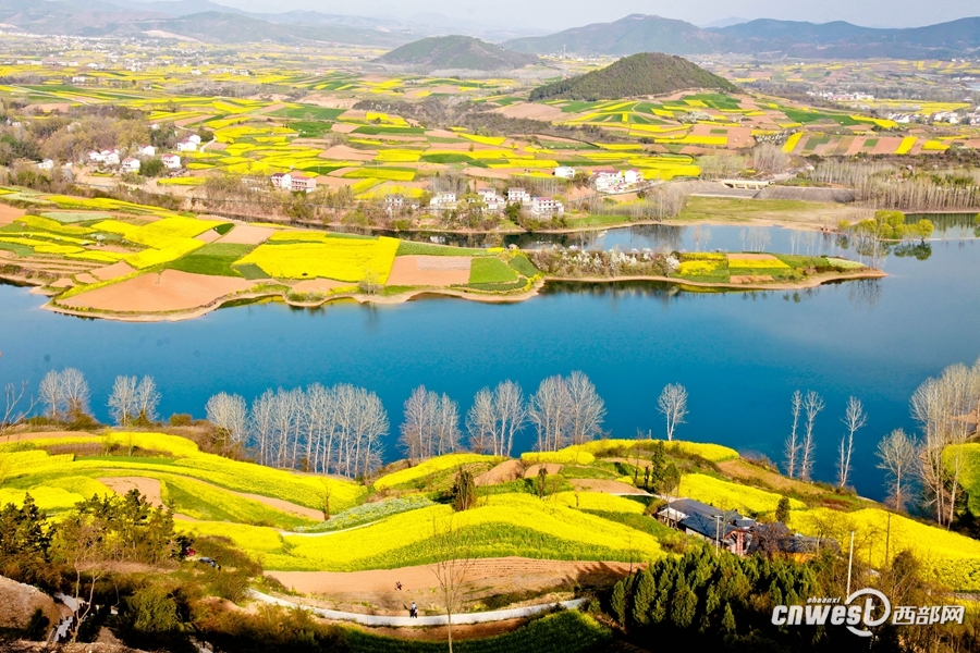 从油菜花节到特色旅游产业 洋县的“春天”来了