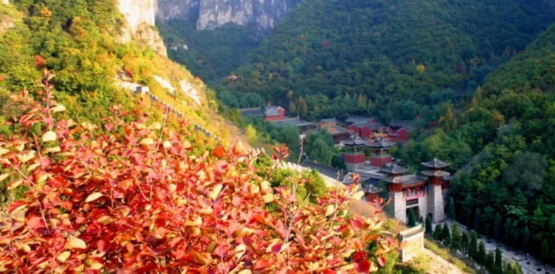 忠义藏山| 重阳节，一场不缺席的陪伴
