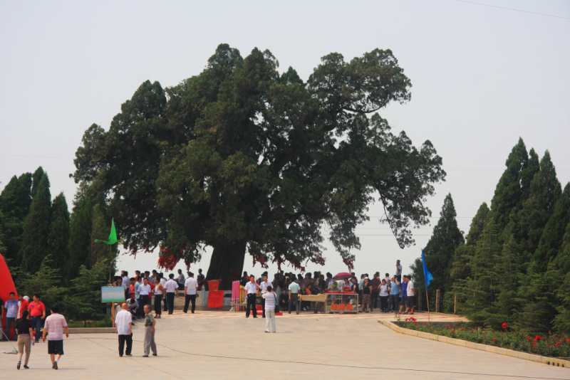 看大戏、赏表演、逛美景、中大奖 大禹渡古庙会让您一次玩个够
