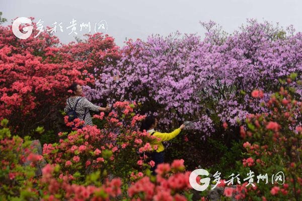 贵州省政府15项“大招” 支持黔东南打造世界级山地民族文化旅游区