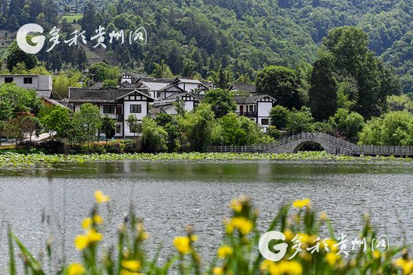 暑期旅游大数据：贵州上榜最具人气最受欢迎省份