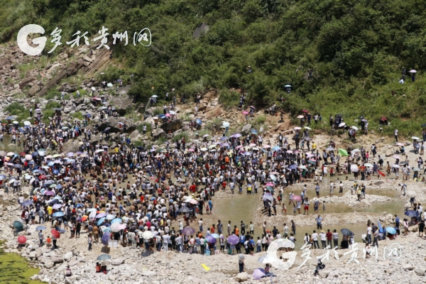 贵州福泉苗族同胞清水江畔欢庆“杀鱼节”