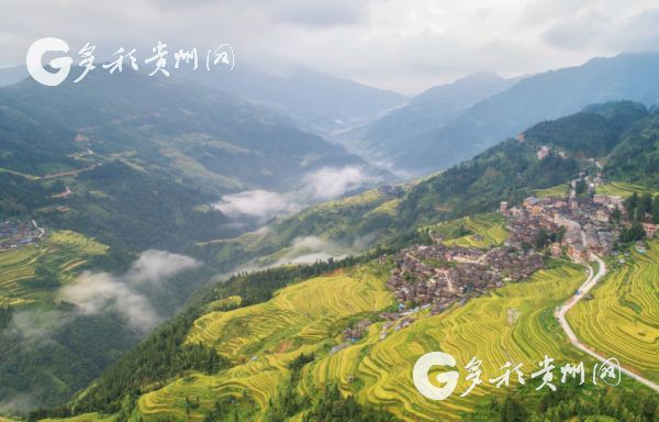 带你高空飞行，俯瞰今年贵州“第一屏秋景”