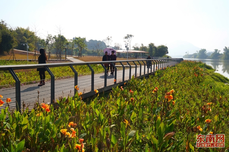 “香蕉海”打造漳州西郊观光旅游休闲新亮点