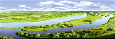 湿地工程 让“地球之肾”焕发生机活力_最新林业信息