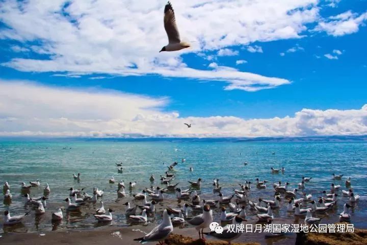 中国部分最美湿地推荐（三）