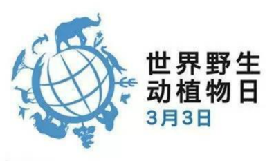 世界野生动植物日logo