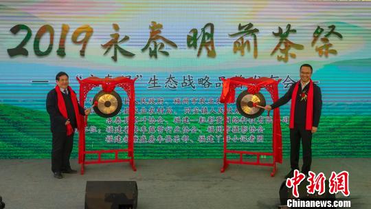 网红直播古老明前茶祭　“永泰绿”助力乡村振兴