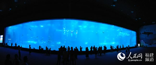 目前世界最大的亚克力海底巨幕，300余种，近30000尾海洋生物在这里生活。