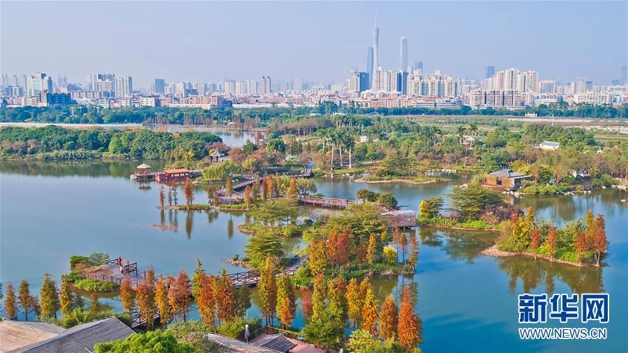 （北京世园会）（3）生态中国城中湿地谱粤章