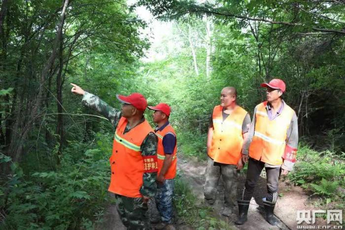 吉林安图发展生态护林员队伍_最新林业信息