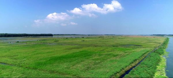 府河湿地生态保育区 