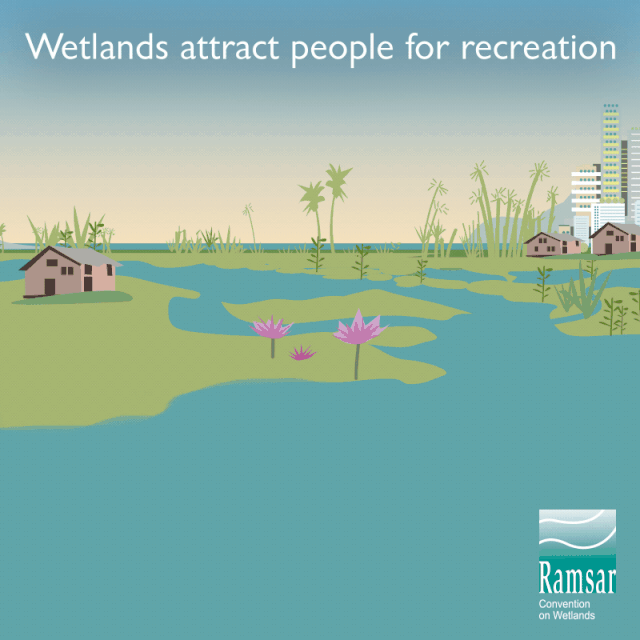 【2月2日】第24届世界湿地日：湿地与生物多样性—湿地滋润生命
