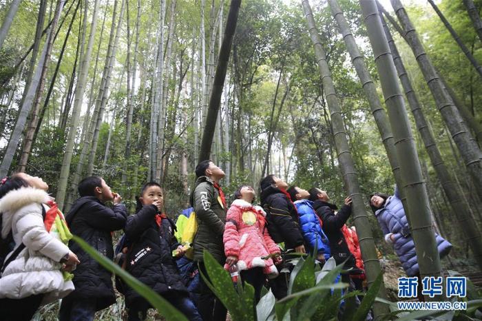 重庆北碚：“森林课堂”约会大自然_最新信息