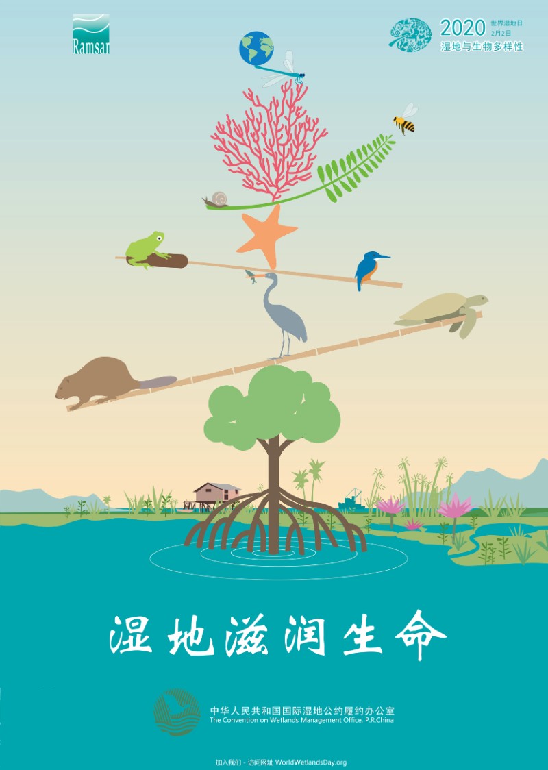 1-2020世界湿地日宣传主图-湿地滋润生命-小