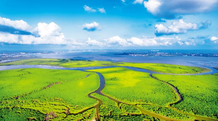 海南：精心呵护青山绿水、碧海蓝天这个最大本钱_最新信息