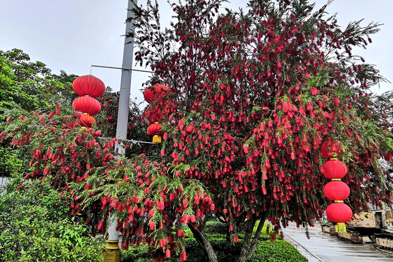 漳浦赤岭：好一幅畲乡田园风光休闲图