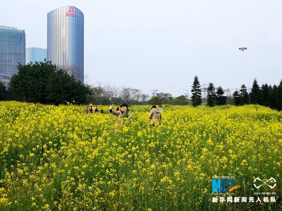 无人机瞰泉州 满城飞花春意盎然