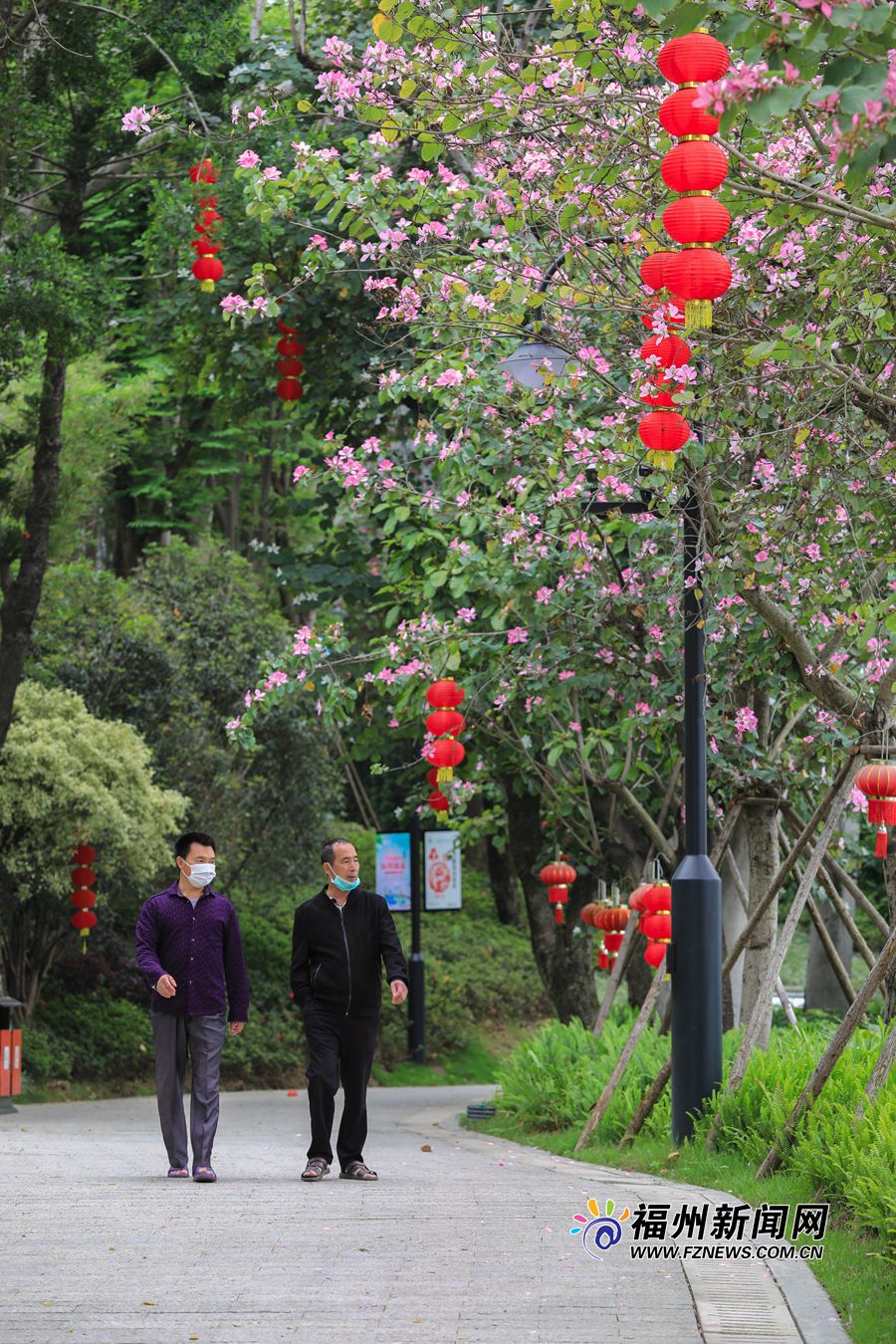 一路花解语 春藏烟台山