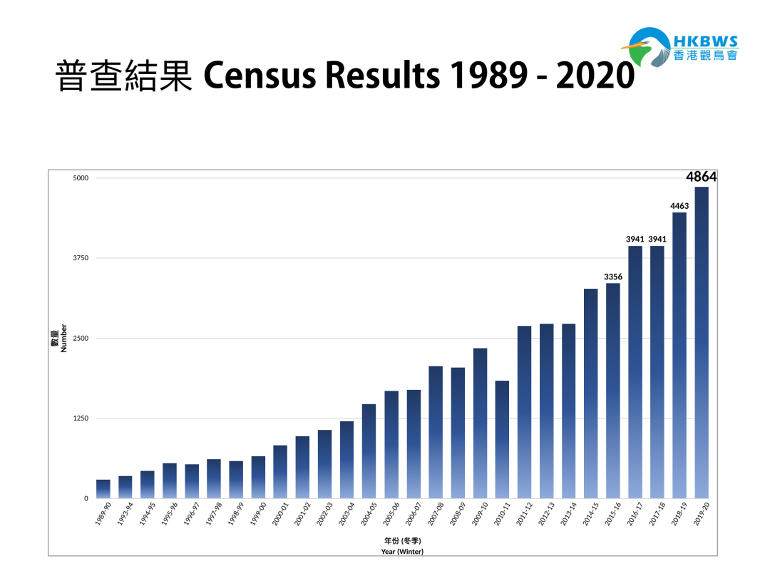 黑脸琵鹭全球同步普查2020简报 | 世界候鸟日特辑