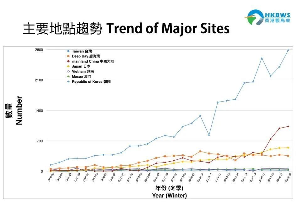 黑脸琵鹭全球同步普查2020简报 | 世界候鸟日特辑