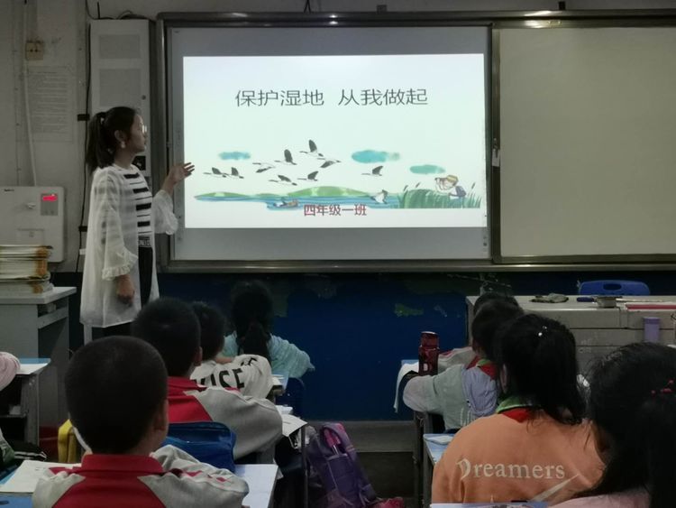 在全县范围内开展湿地保护主题教育活动