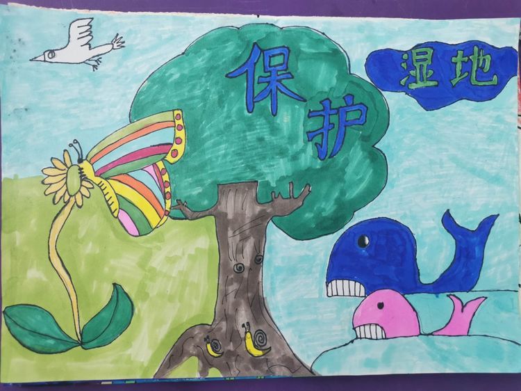 在全县范围内开展湿地保护主题教育活动