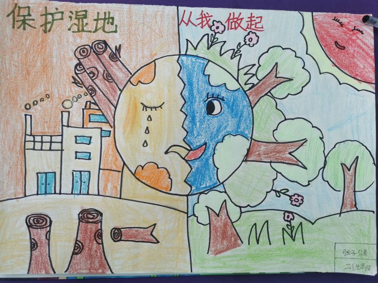 在全县范围内开展湿地保护主题教育活动