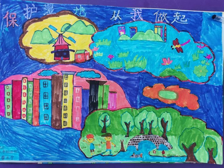 在全县范围内开展湿地保护主题教育活动