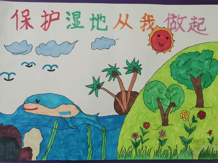 在全县范围内开展湿地保护主题教育活动