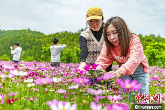 福建建宁：一个小山村的绿色蜕变